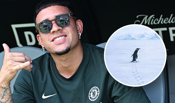 Мойсес Кайседо, Себастиан Нанаси, Челси, Лионель Месси, Индепендьенте дель Валье, премьер-лига Англия, лига 1 Франция, квалификация ЧМ-2026 Южная Америка, Лига конференций УЕФА, Роберт Арболеда, Страсбур, Кубок Америки, Хамес Родригес, Ривер Плейт, Гонсало Плата, Хулио Энсисо, Марсело Гальярдо, Пьеро Инкапиэ, Золотой мяч, Мартин Ансельми, Сборная Эквадора по футболу, высшая лига Аргентина, Кендри Паес, Эмануэль Эмега, Дезире Дуэ, Анхель Ди Мария, Ламин Ямаль, Лиэм Росеньор