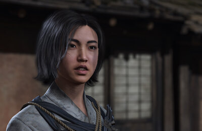 Гайды, Assassin's Creed Shadows