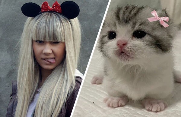 «Что случилось котенок?» Новый милый тренд под песню «Давай со мной за звездами»