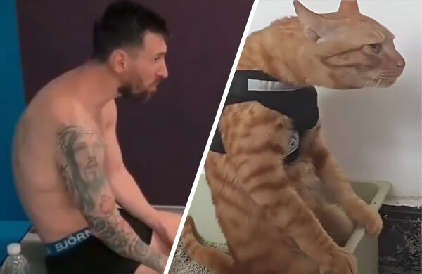 мемы, Свежие мемы, Спортивные мемы