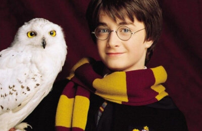 Гарри Поттер, Гарри Поттер (сериал)