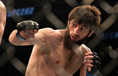 UFC 313, MMA, Магомед Анкалаев, UFC, Анкалаев - Перейра