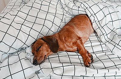 Медицина, Здоровье