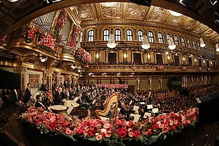 Моцарт, Шуберт, Гайдн, семья Штраусов – австрийцы. Почему Вена – столица классической музыки?