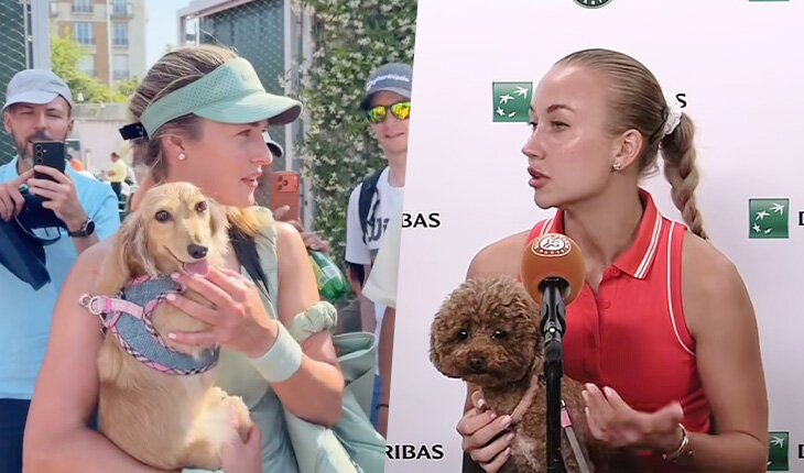 животные и спорт, Арина Соболенко, WTA, Анастасия Потапова, Анна Калинская, Ролан Гаррос, собаки