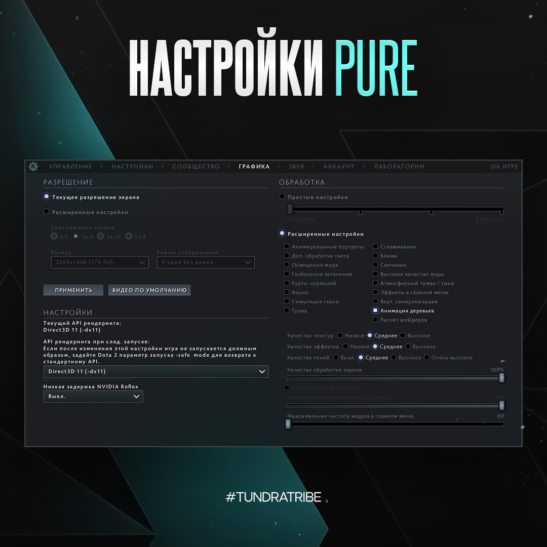 Pure показал настройки Доты