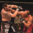 Брок Леснар, смешанные единоборства, UFC, Дана Уайт, Тим Сильвия, Мирко Филипович