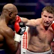 WBO, Султан Ибрагимов, Эвандер Холифилд, титульные бои, Дмитрий Кириллов, Хосе Наварро