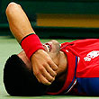 Новак Джокович, Рафаэль Надаль, ATP, Кубок Дэвиса, Хуан Мартин дель Потро, Давид Налбандян