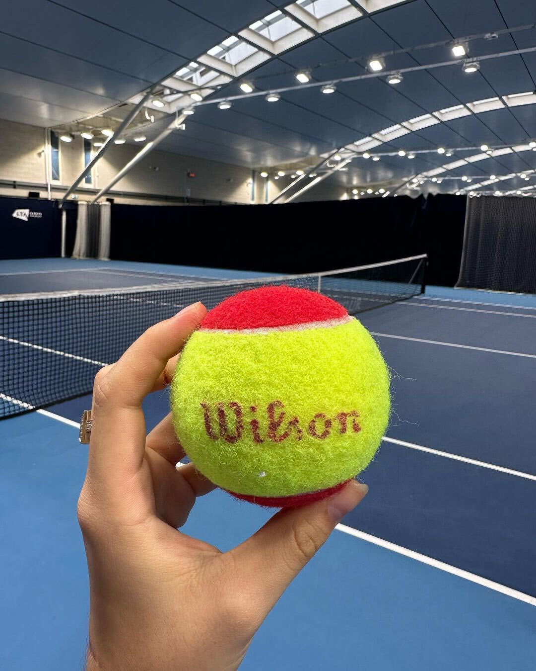 Walker with Tennis Ball