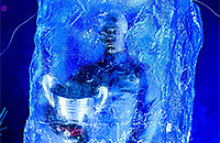 Антон Шипулин, Дарья Домрачева, Уле Эйнар Бьорндален, Рождественская гонка