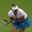 WTA Finals, Ана Иванович, Вера Звонарева, Елена Дементьева, Динара Сафина, Серена Уильямс, Винус Уильямс