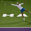 ATP Finals, Вера Звонарева, Светлана Кузнецова, Елена Янкович, Ана Иванович, Динара Сафина, Винус Уильямс