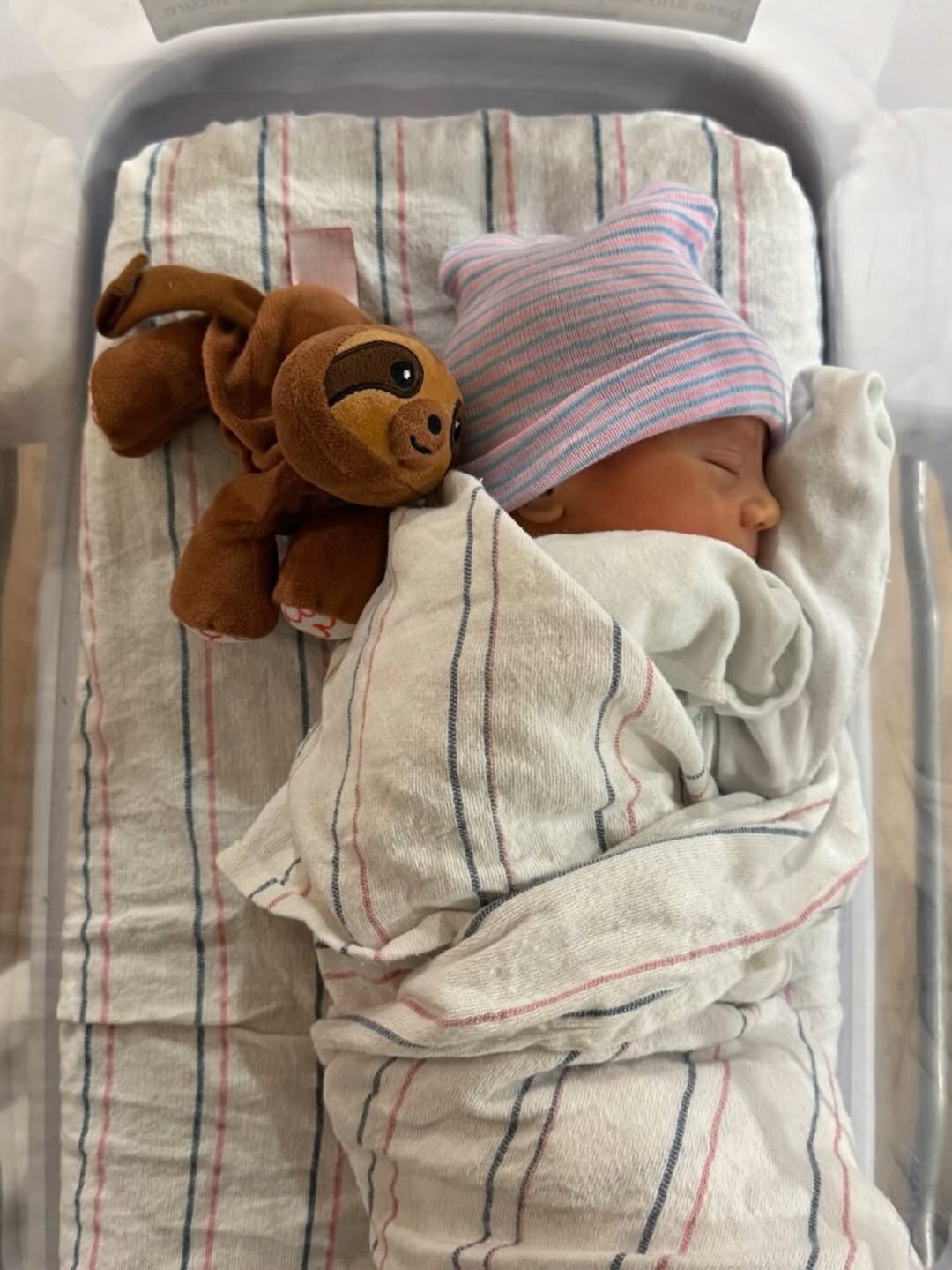 Анна Курникова