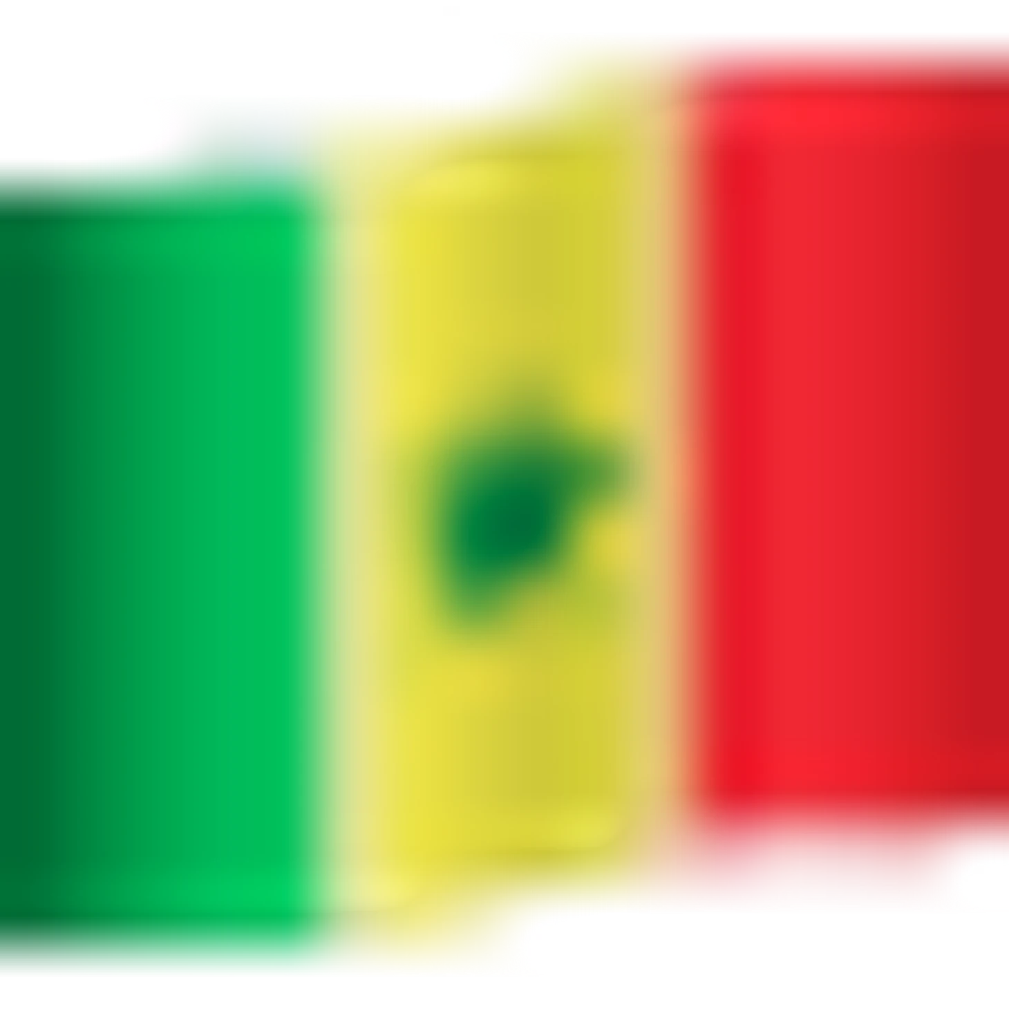 🇸🇳