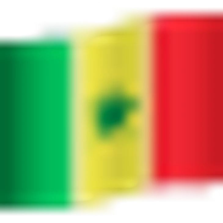 🇸🇳