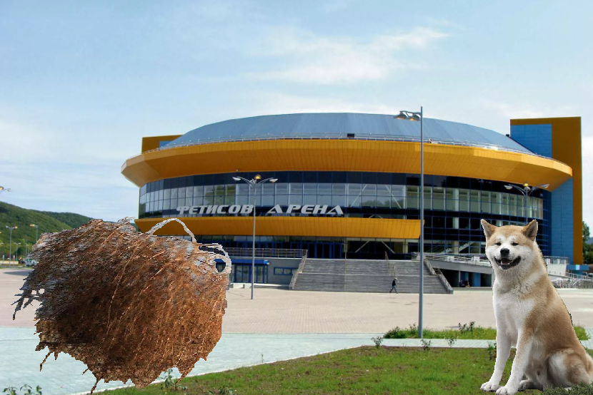 -Ну как там с игроками? -Какими игроками?