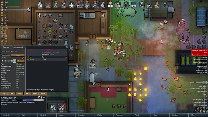 RimWorld