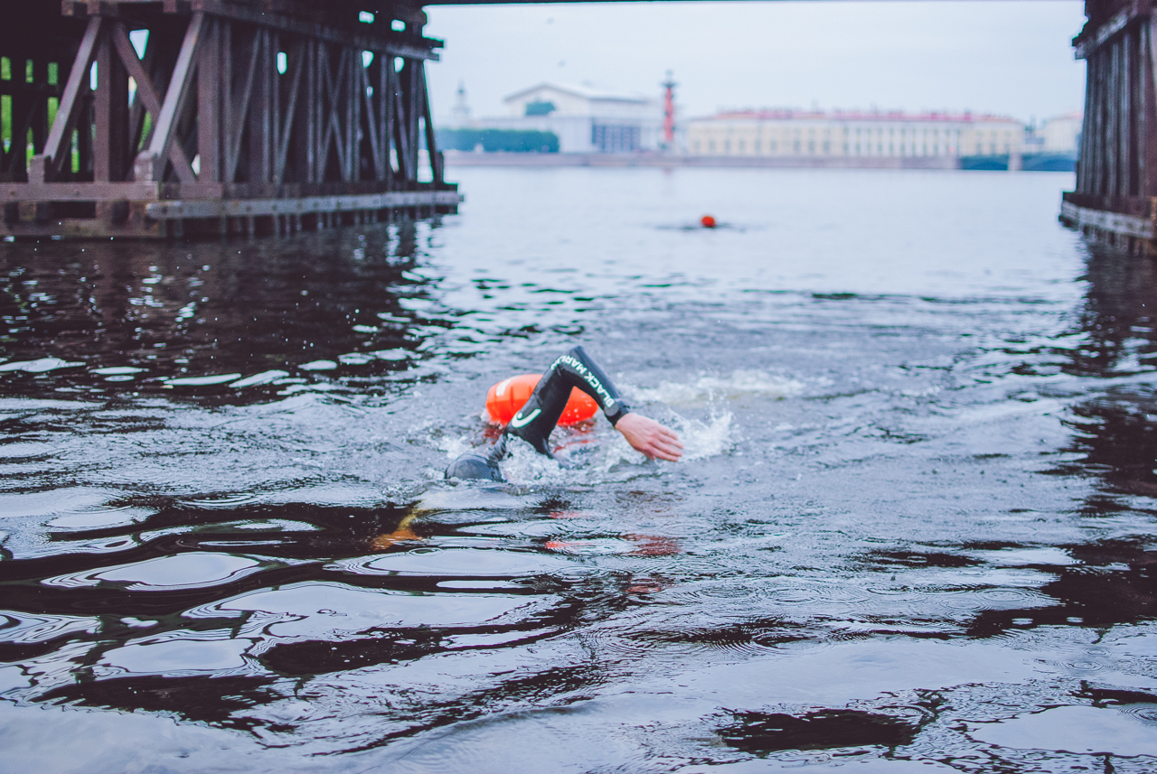 Плавание на открытой воде – это красиво. Доказываем фотографиями из  Петербурга - Тортотлон - Блоги - Sports.ru