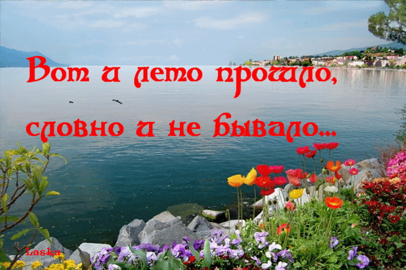 Ставки на спорт