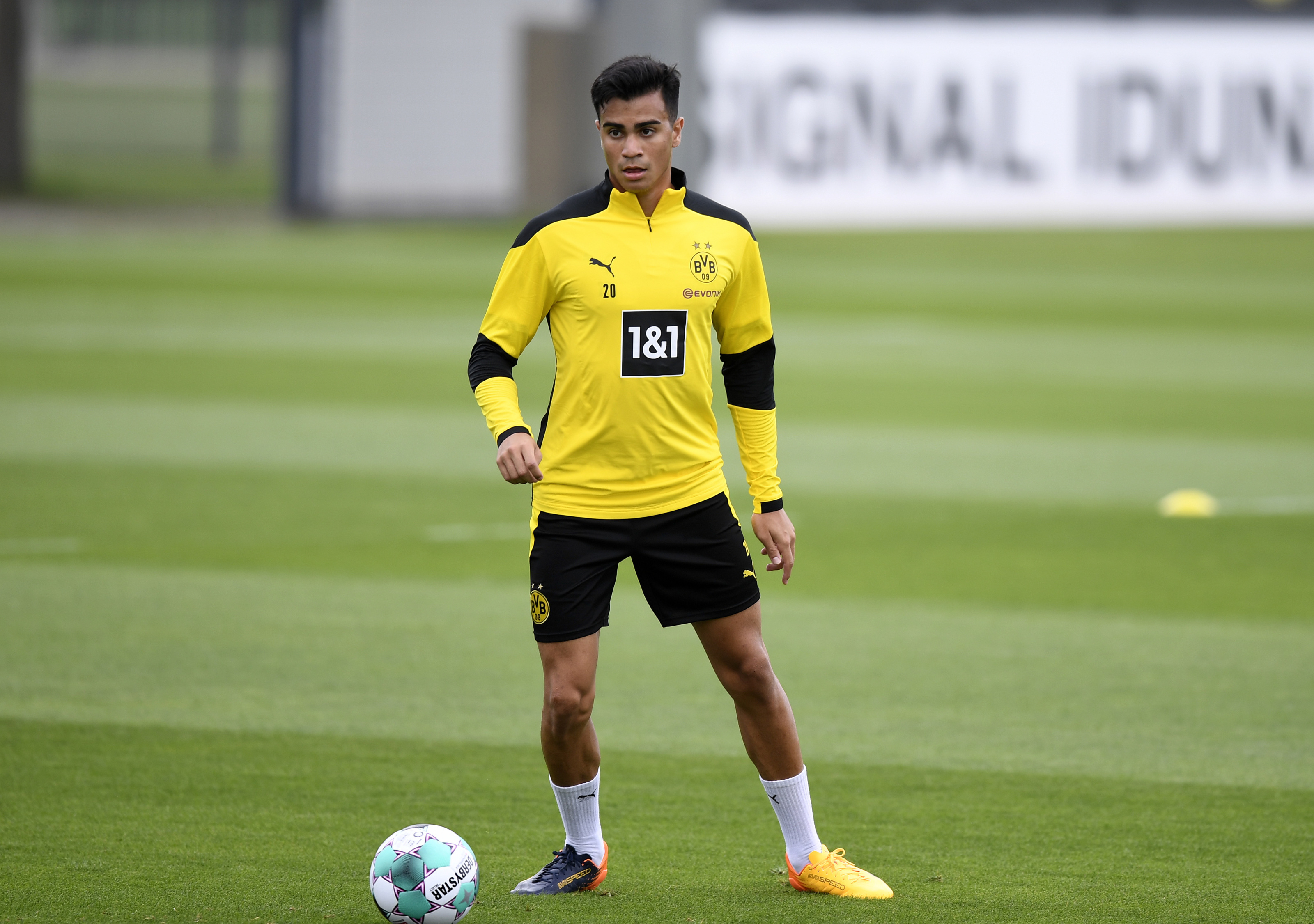 «Боруссия» вновь арендовала топа у «Реала». Знакомьтесь, Рейньер