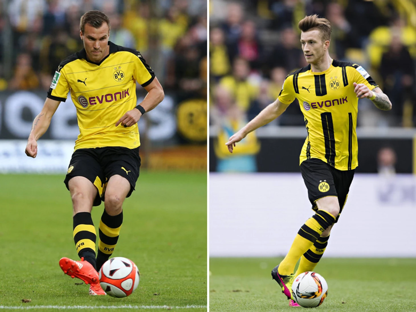 BVB