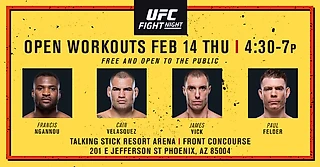 UFC on ESPN: Ngannou vs. Velasquez
