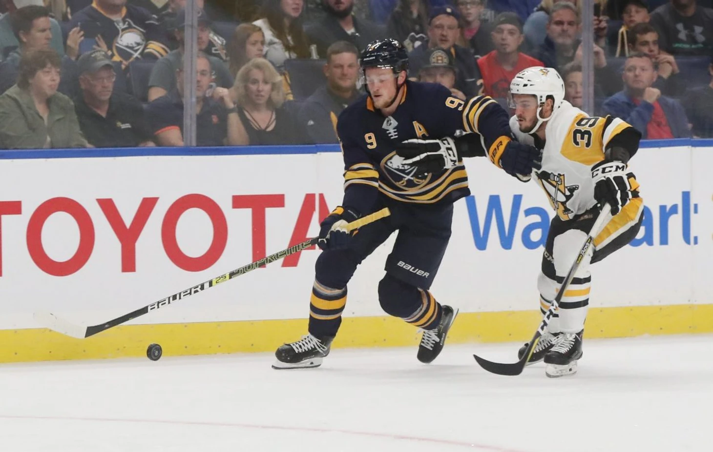 eichel