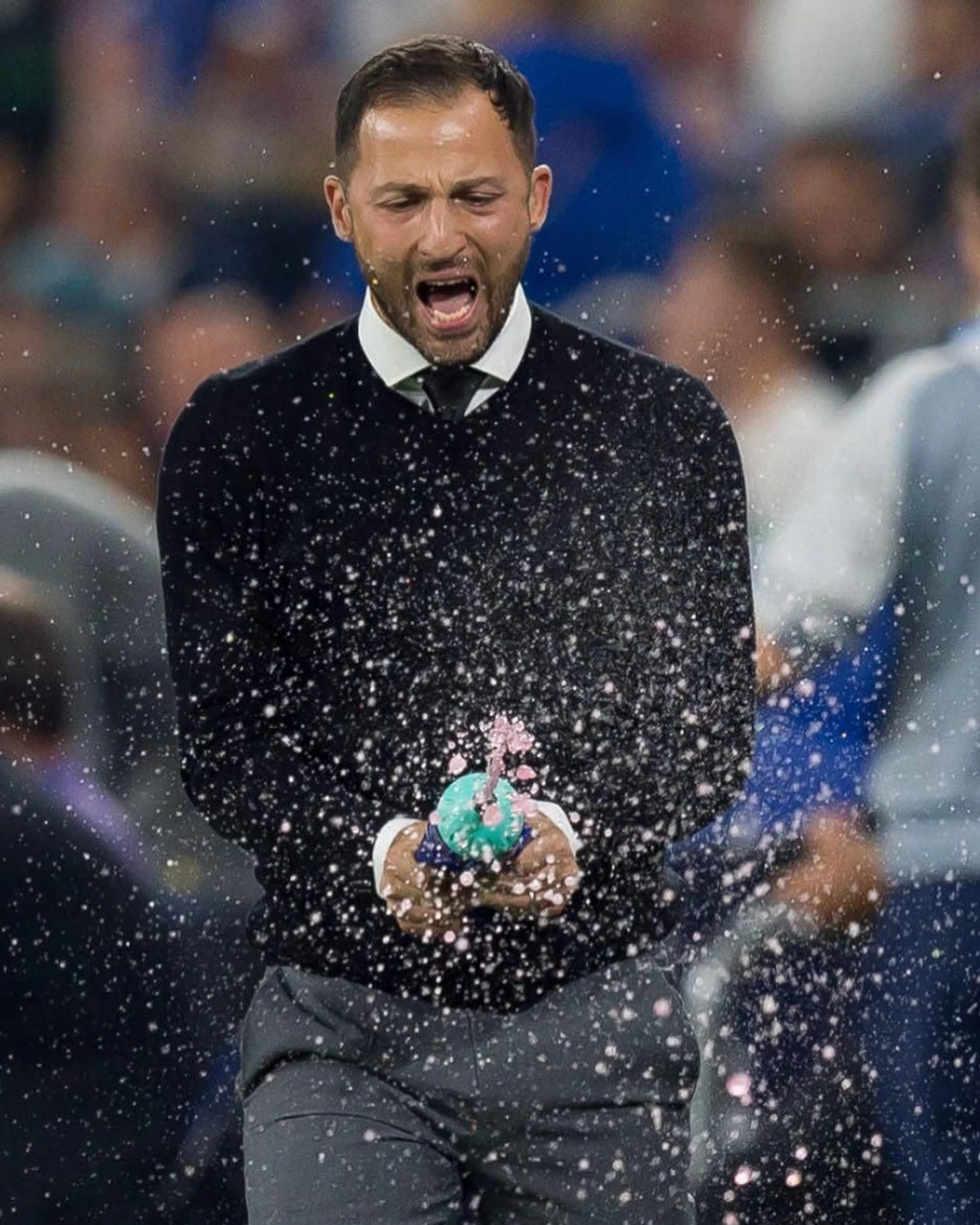 (instagram.com/domenicotedesco85)