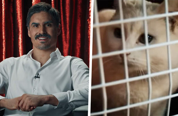 «У меня проблемы с Барсиком. Он постоянно хочет играть». Два видео «Авангарда», которые должны порвать КХЛ