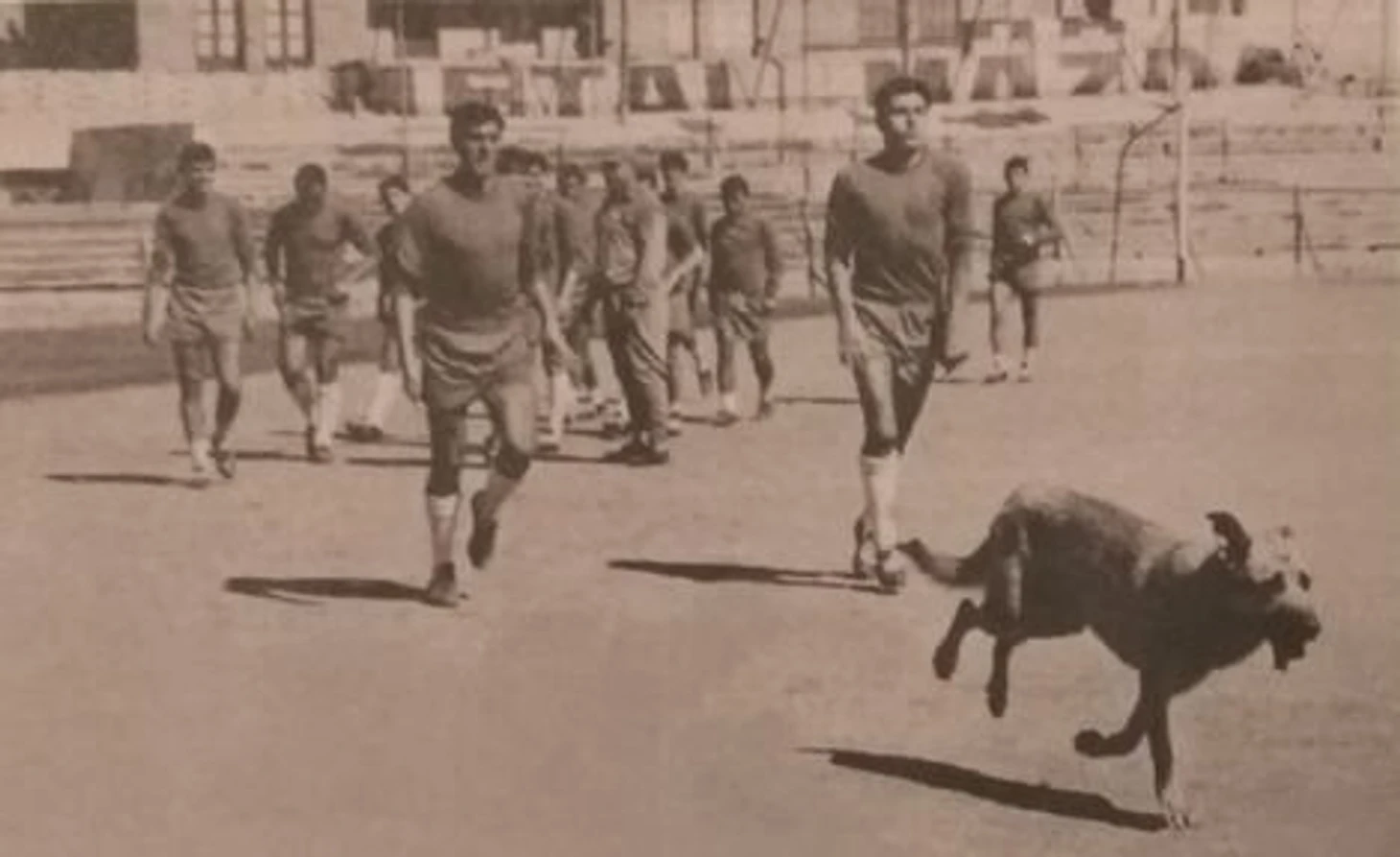 Первая тренировка перед началом сезона