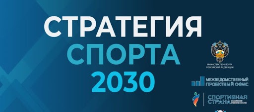Комментарий к проекту «Стратегия развития физической культуры и спорта в РФ до 2030 года»