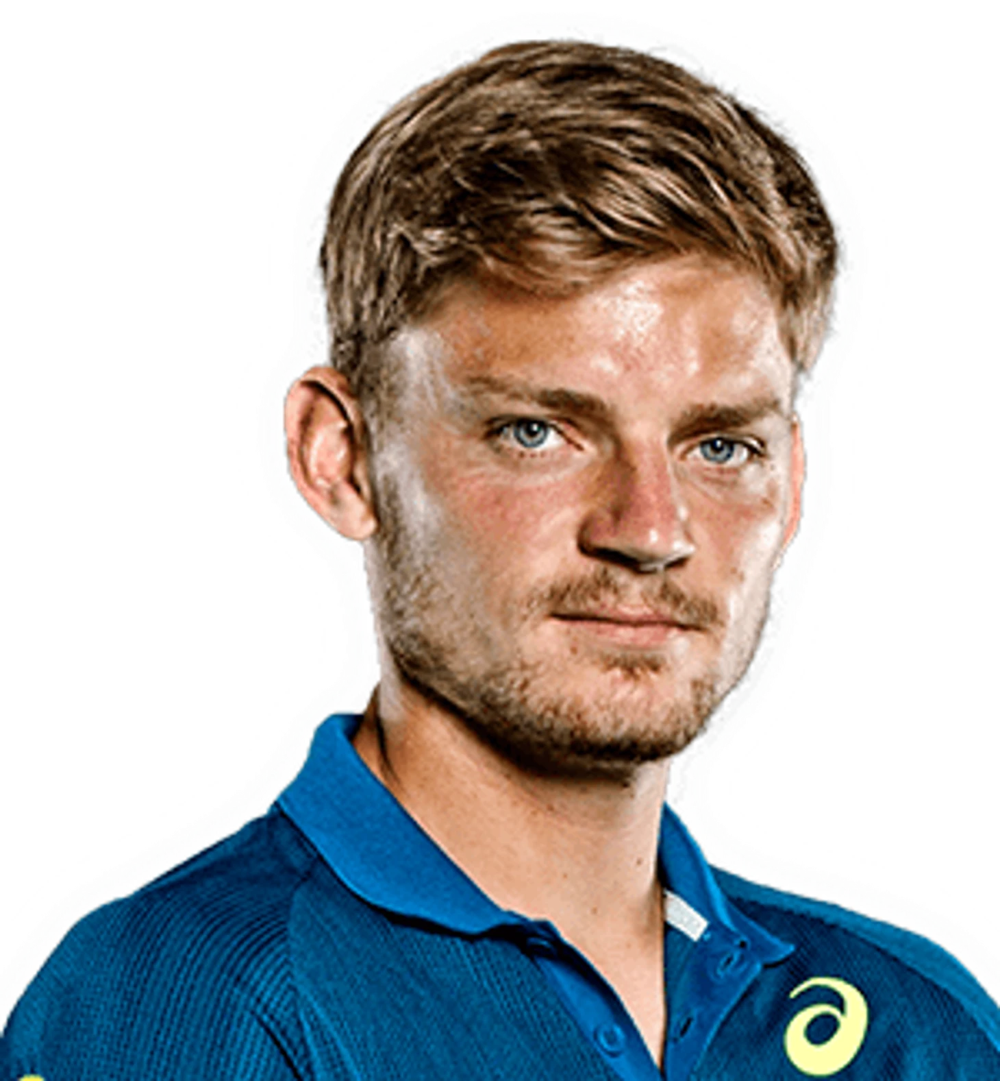David Goffin