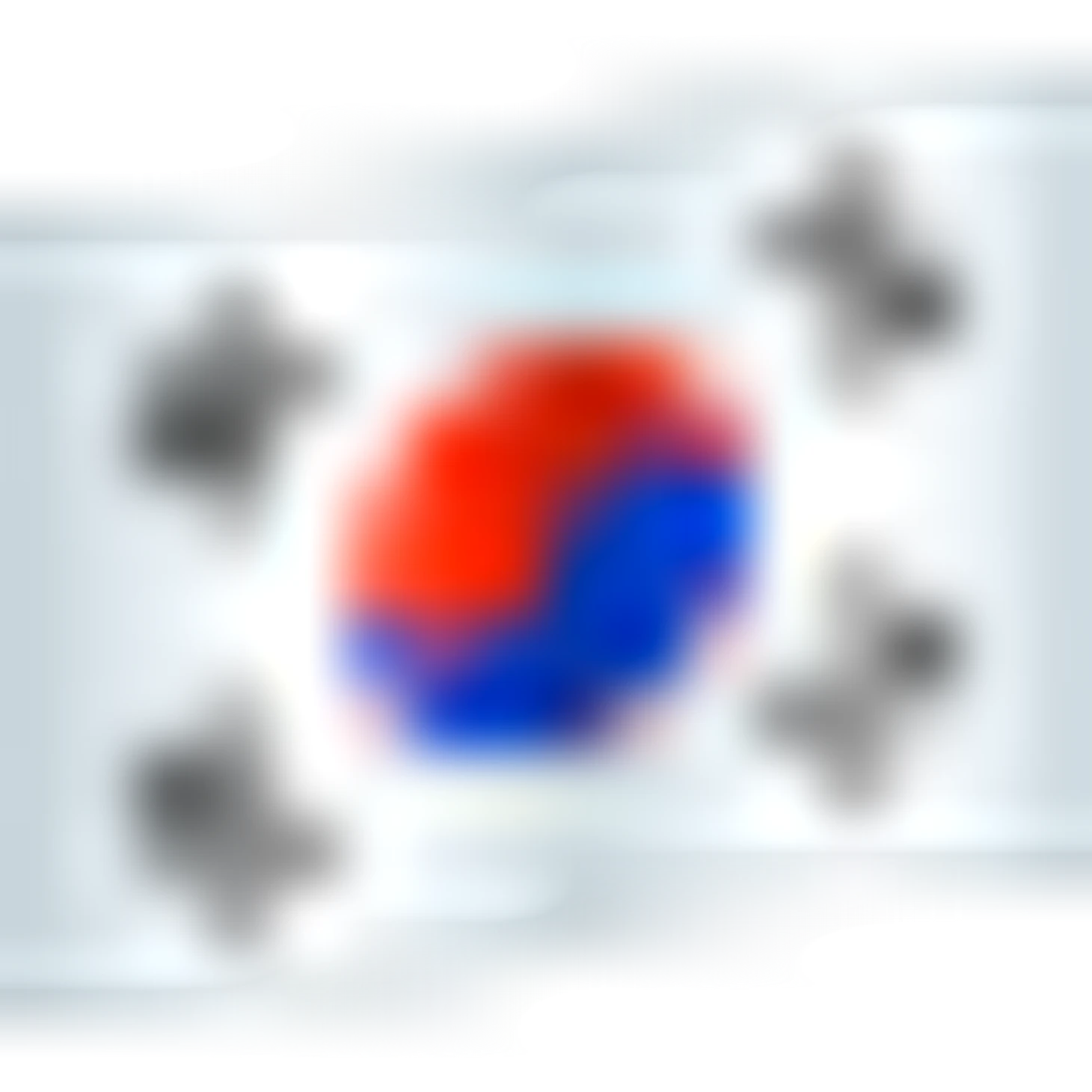 🇰🇷