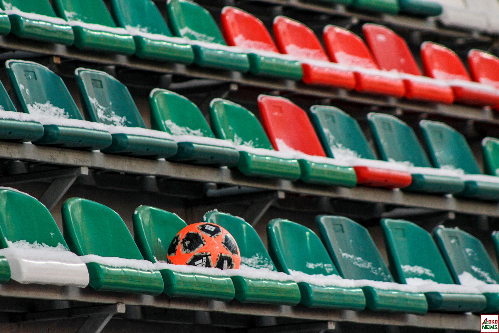 Фото: Дмитрий Бурдонов / Loko.news
