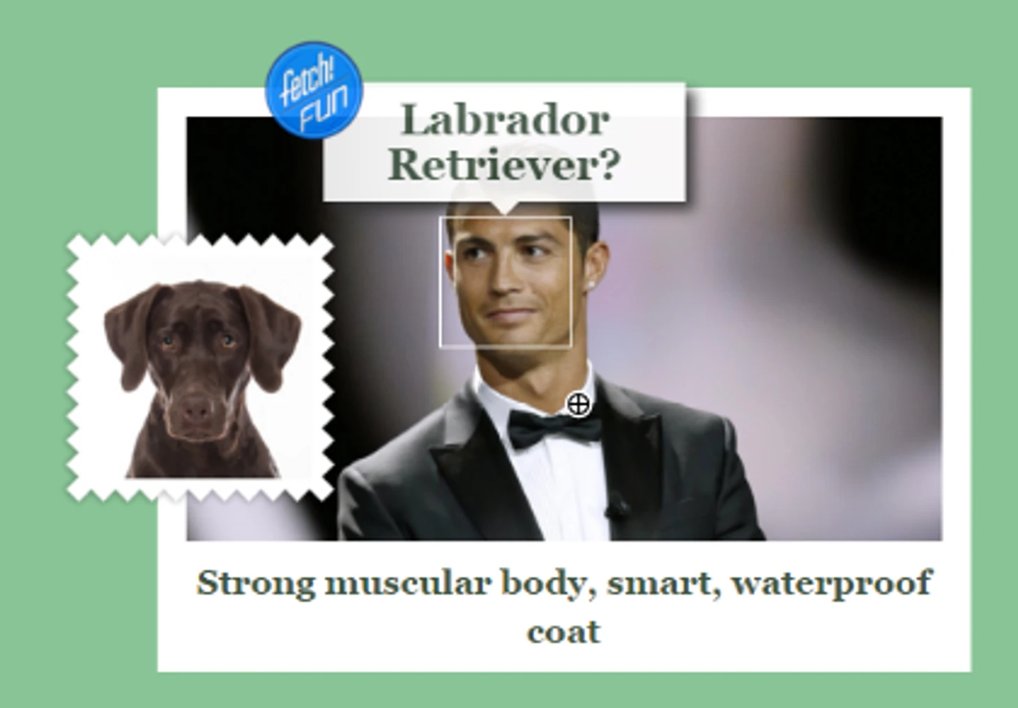 https://photobooth.cdn.sports.ru/preset/post/0/bf/b43e1e3a040e6ae9f0289403eead6.png