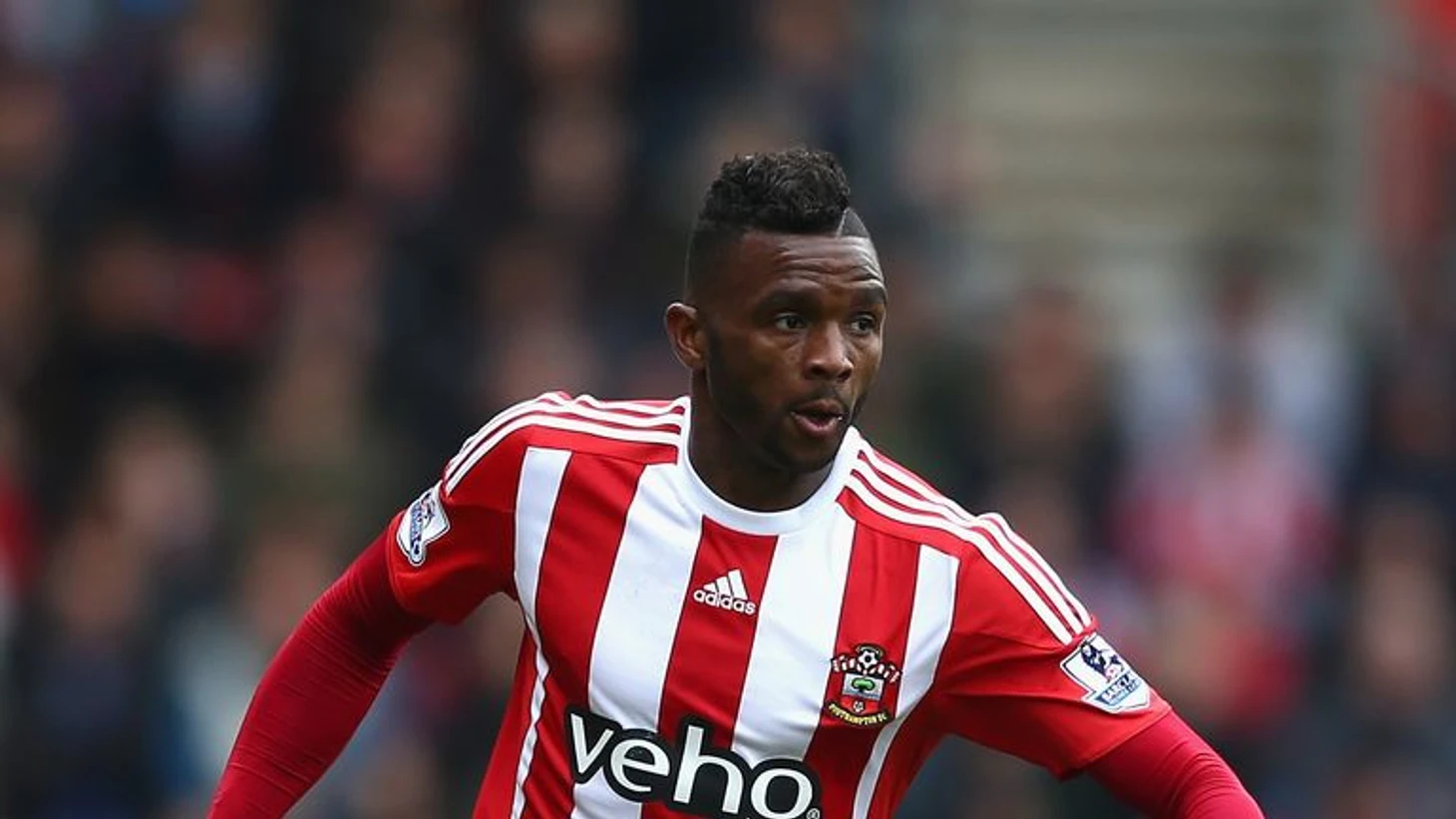 Картинки по запросу cuco martina