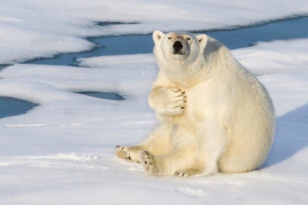 Ставки на спорт