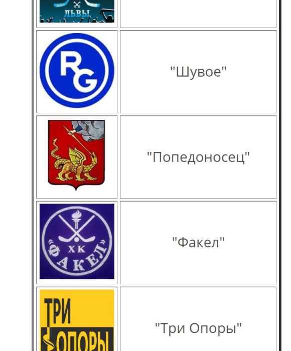 Фрагмент сайта, посвященного первенству Егорьевского района по хоккею