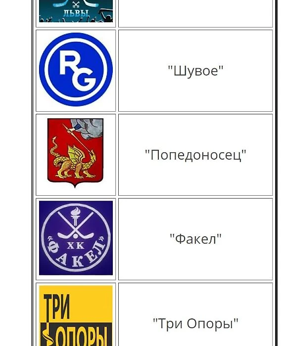 Фрагмент сайта, посвященного первенству Егорьевского района по хоккею
