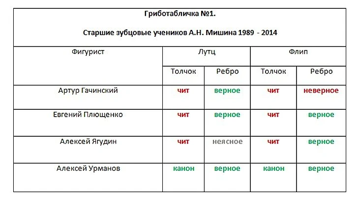 Мишин, просто Мишин