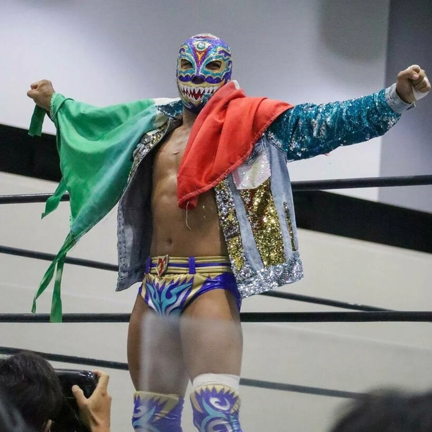Обзор двенадцатого дня NJPW Best of the Super Juniors 29, изображение №11