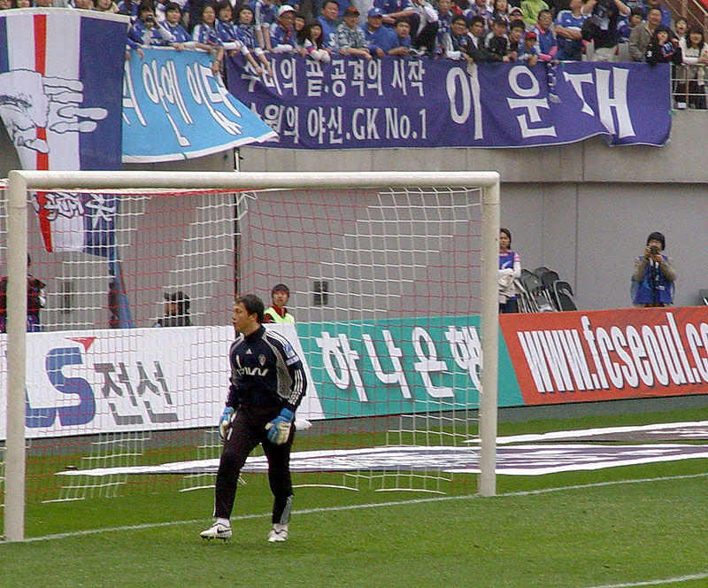Южная Корея 2002/Как сложилась их карьера после ЧМ?
