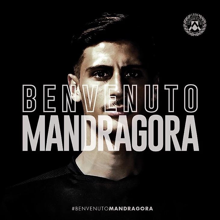 Мандрагора