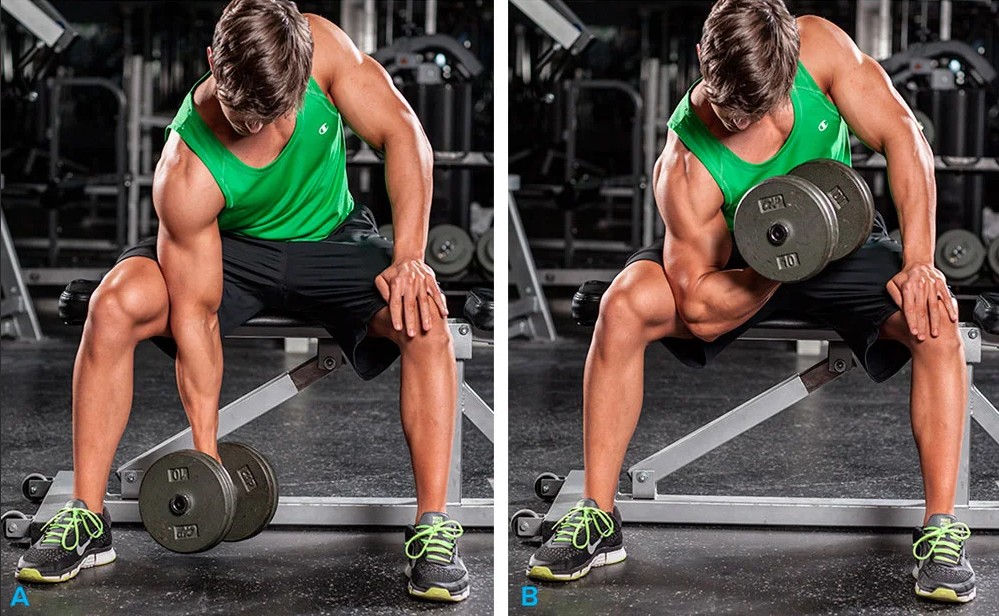 Seated Dumbbell Shoulder Press