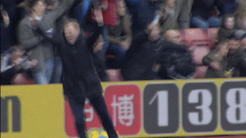 Southampton FC happy crazy celebration ronald koeman