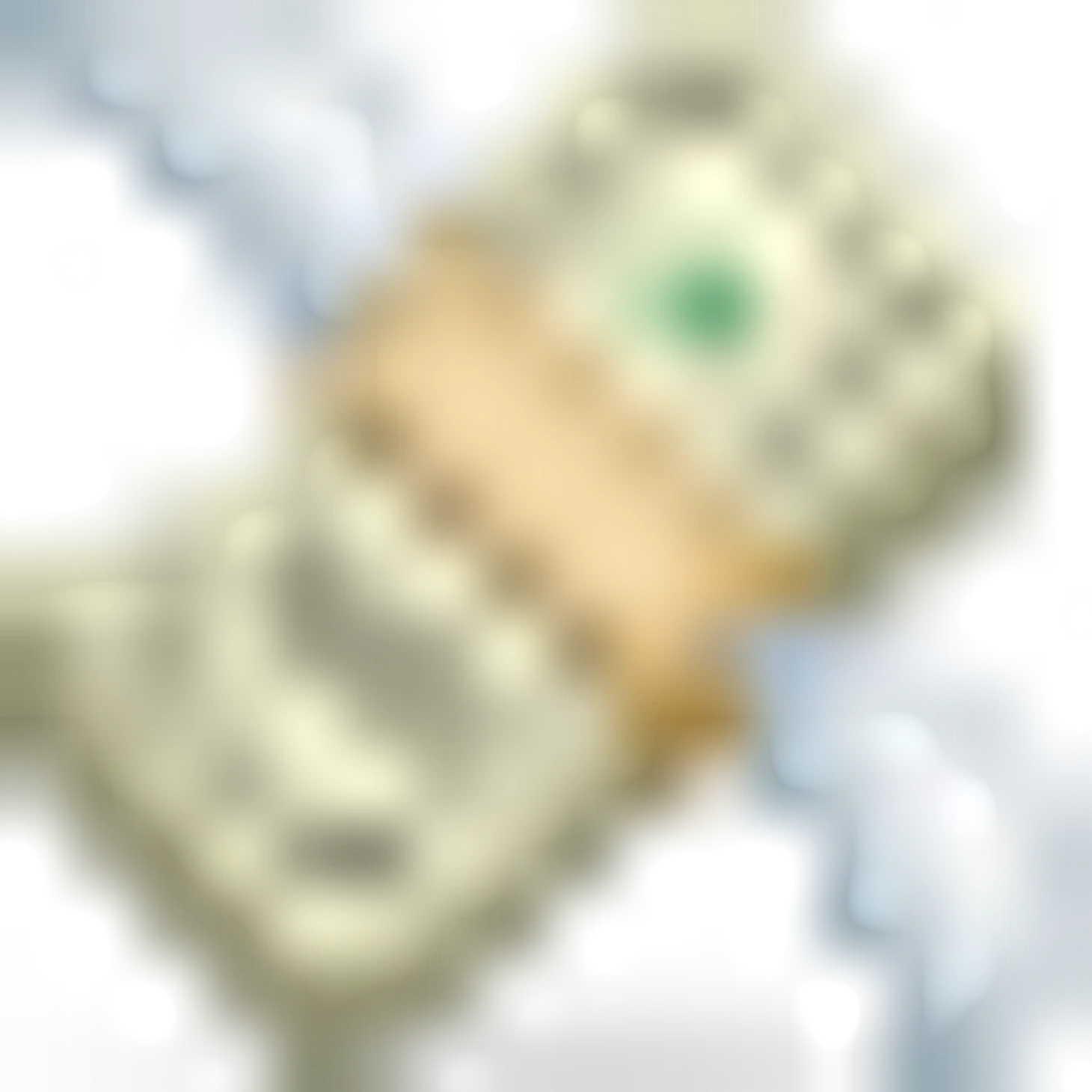 💸