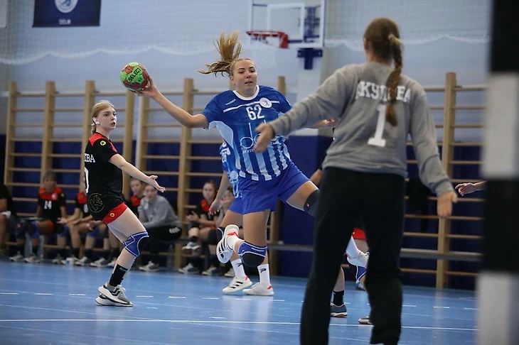 Виктор Поладенко: "Если звёзды мирового гандбола ездят по стране, зрители получают удовольствие!", изображение №4