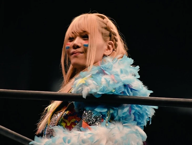 Обзор NJPW Wrestle Kingdom 16 in Tokyo Dome, изображение №19