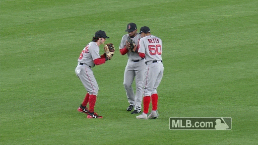 Картинки по запросу Boston Red Sox gif